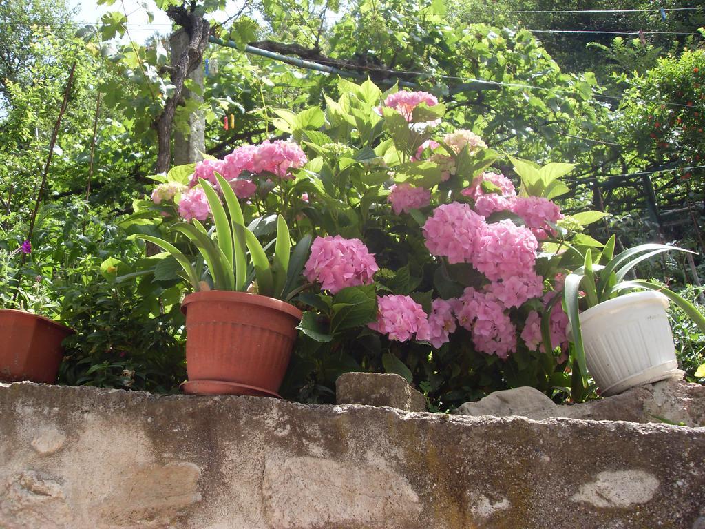 Guest House Rimski Most Melnik  Exterior foto